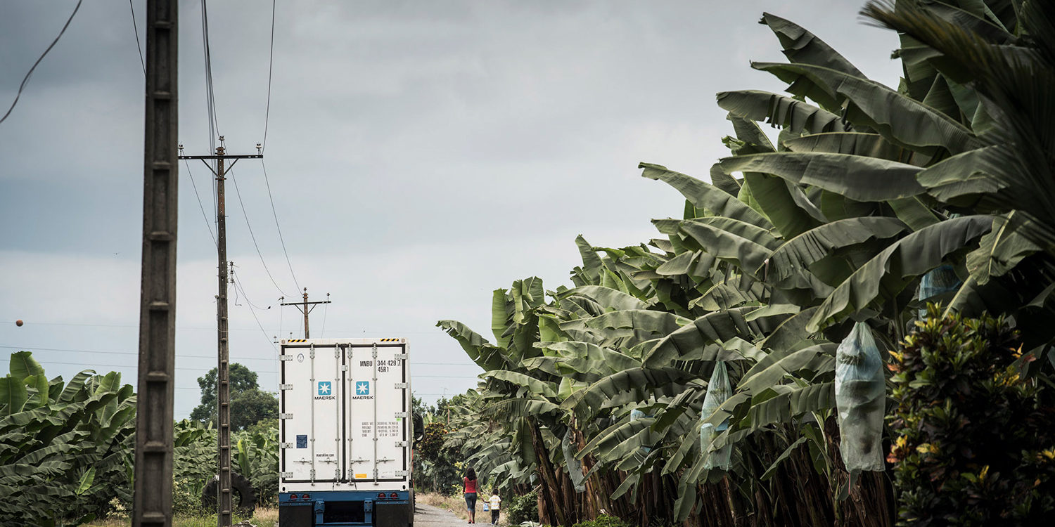 Reefer-container-in-a-banana-field