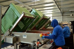 Kunststoffbehälter Maximus