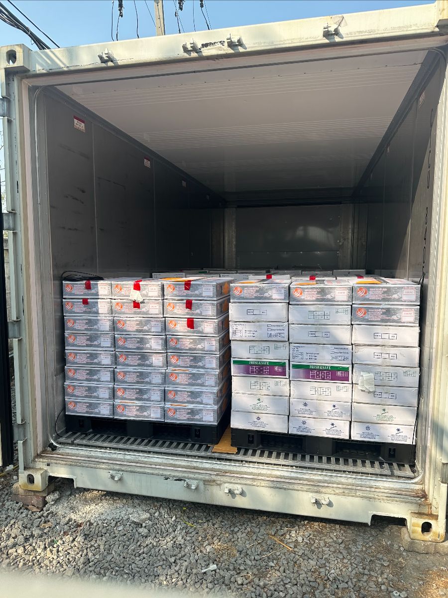 Daikin testet erfolgreich See- statt Lufttransport von Mangos ...